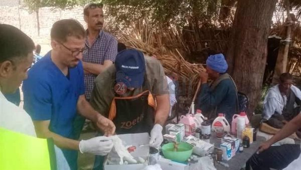 بيطري المنيا 