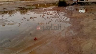 بوار عشرات الأفدنة بسبب ارتفاع منسوب المياه الجوفية في عزبة الخمسين بالفيوم