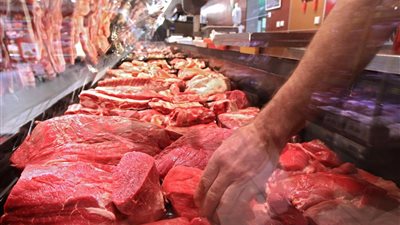 نقيب الفلاحين يزف بشرى للمواطنين: تراجع أسعار اللحوم والدواجن خلال شهر رمضان