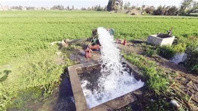 المركزي للإحصاء: 133.6 ألف جرار زراعي و1033 ماكينة ري في مصر عام 2023