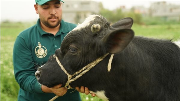 «بيت الزكاة والصدقات»