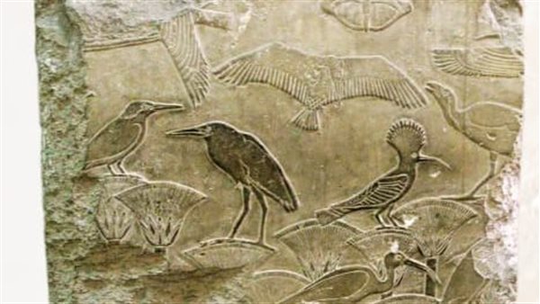 اليوم العالمي للتنوع