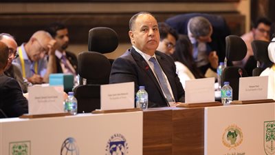 وزير المالية: التدفقات الاستثمارية مع الإصلاح الاقتصادي يقللان الحاجة للتمويلات السريعة