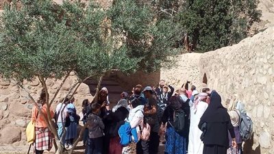 سانت كاترين تستقبل 337 سائحًا من مختلف الجنسيات