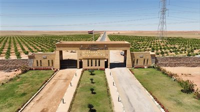 لتوسيع الرقعة الزراعية.. الرئيس السيسي يفتتح عددًا من المشروعات التنموية بجنوب الوادي