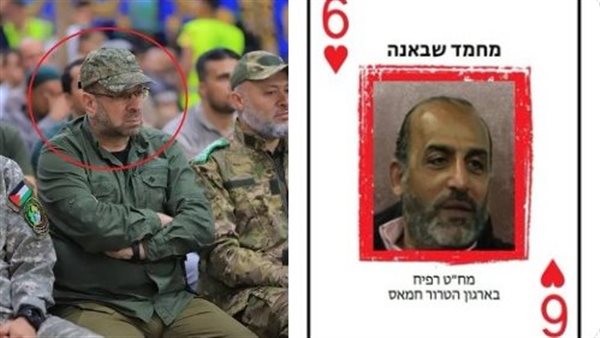 نشر صورة محمد شبانة