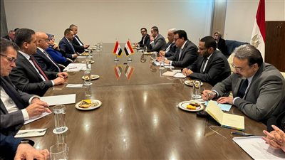 وزير الصحة يلتقي نظيره العراقي لـ تصدير الدواء وعلاج المرضى عن بعد