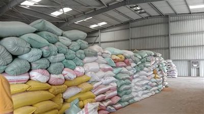 خير بلدنا.. توريد 217 ألف طن قمح لشون وصوامع البحيرة