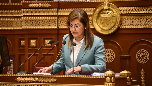 وزيرة التخطيط