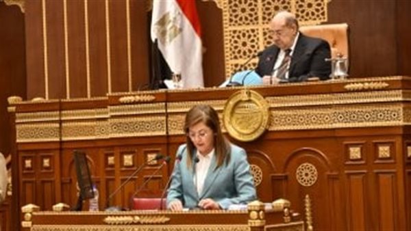 هالة السعيد في مجلس