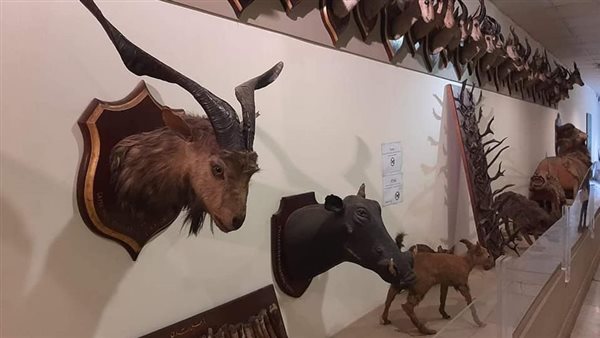 متحف الصيد بقصر الأمير