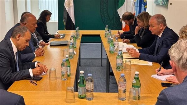 اجتماع شكري ونظيره