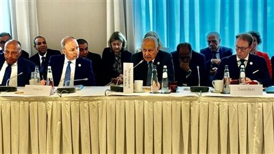 أبوالغيط: استمرار العدوان الإسرائيلي يقوض أي فرصة للسلام.. ويجب عقد مؤتمر دولي لحل الدولتين