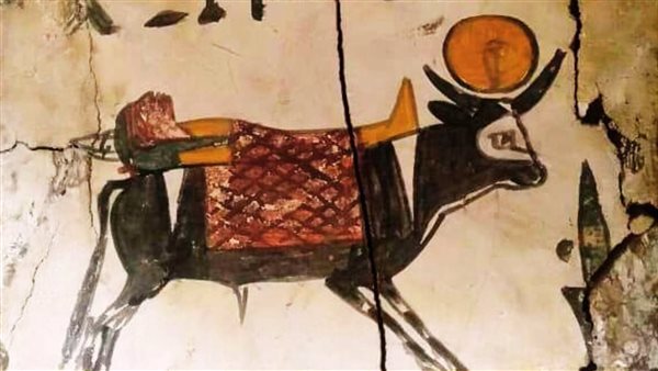 توابيت المتحف المصري