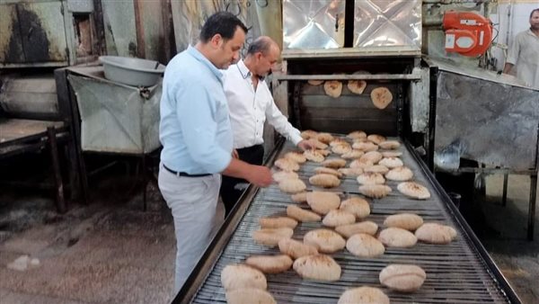 حملات تفتيشية بالمنيا