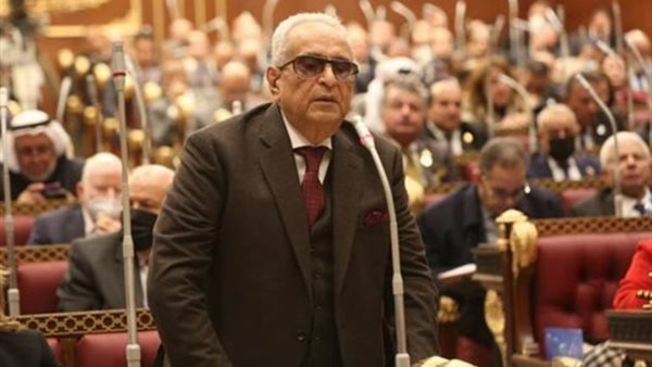  بهاء أبوشقة وكيل