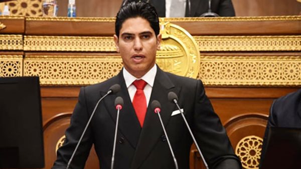  رجل الأعمال والنائب