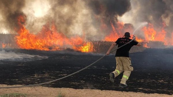 حرائق إسرائيل - ارشيفية