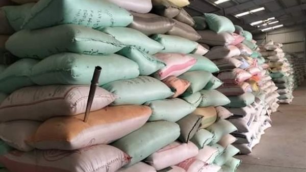 توريد محصول القمح