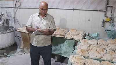 ضبط 2.5 طن مخلل ولحوم وفراخ غير صالحة للاستهلاك الآدمي بالبحيرة