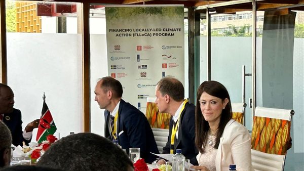 الدكتورة رانيا المشاط