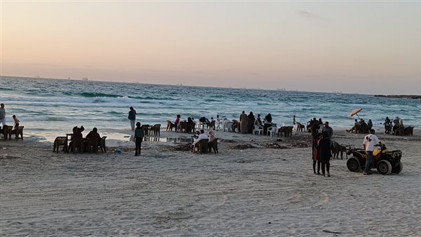 شاطئ شهر العسل بالبيطاش