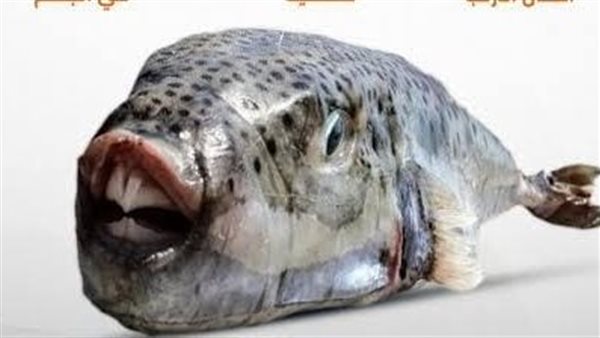 سمكة الأرنب السامة