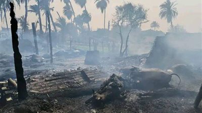 إصابة 10 باختناق ونفوق 50 رأس ماشية في حريق بـ4 منازل و12 حوشا بسوهاج| صور