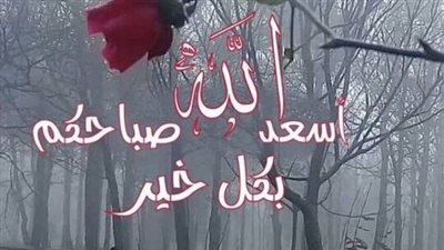 أجمل صورة دعاء الصباح.. تشكيلة من الصور الحيوية والأخيرة باقة متحركة