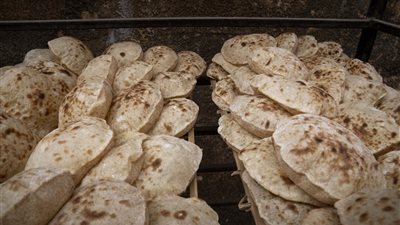  خلال أيام.. الحكومة تفصل بين التموين وأصحاب المخابز بشأن تقسيم الـ 20 قرشًا سعر رغيف العيش المدعم