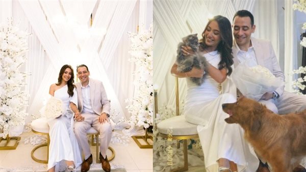 الدكتور عمرو حسن