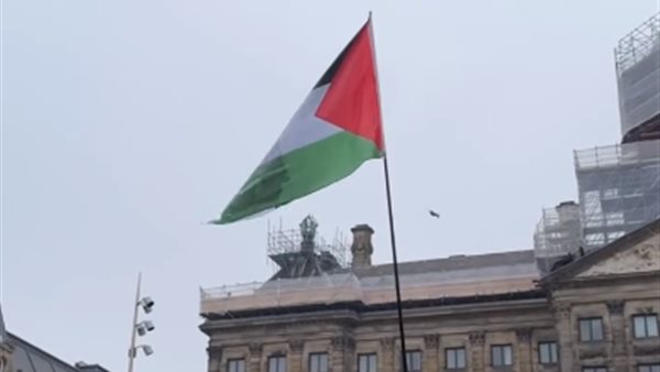 أحمد حلمي يدعم فلسطين