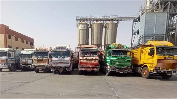 توريد القمح بالوادي