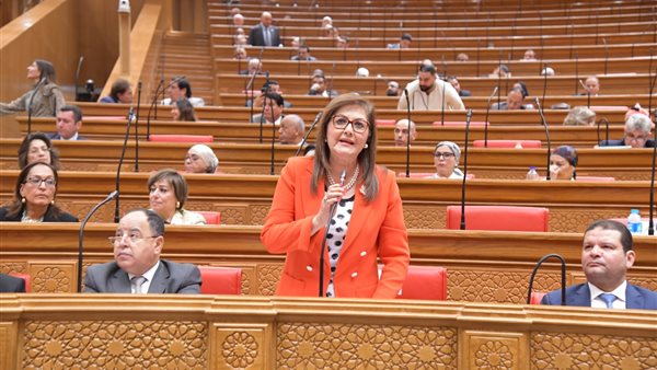 وزيرة التخطيط