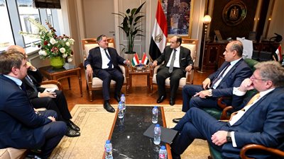 وزير الصناعة: 379 مليون دولار معدل التجارة بين مصر والمجر