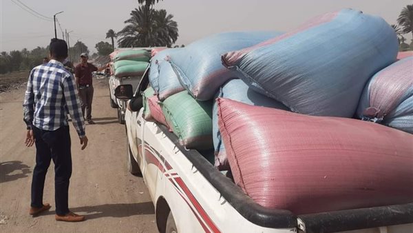 صورة حيه من ضبط القمح