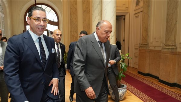 وزير الخارجية ونظيره