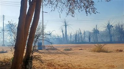 الدفع بـ 29 سيارة إطفاء للسيطرة على حريق مزارع نخيل الوادي الجديد