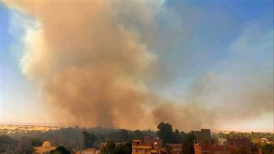 الدفع بـ29 سيارة إطفاء وإصابة 4 من رجال الحماية المدنية في حريق مزارع النخيل بالوادي الجديد| بث مباشر