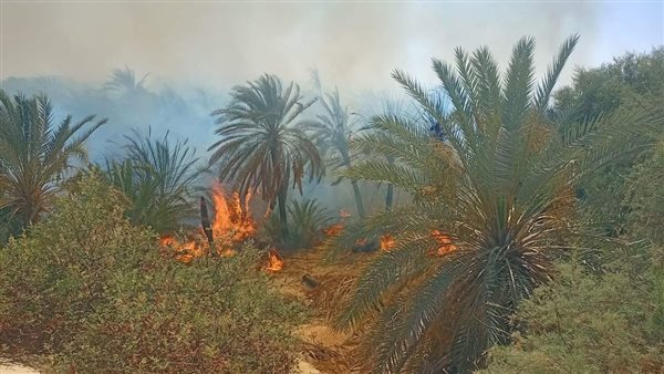 جانب من الحريق