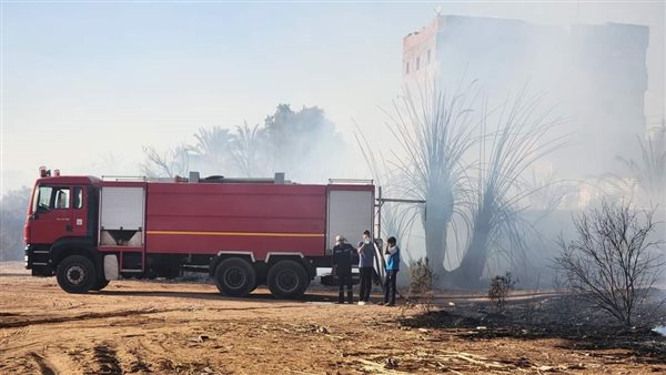 حريق مزارع عين القضا