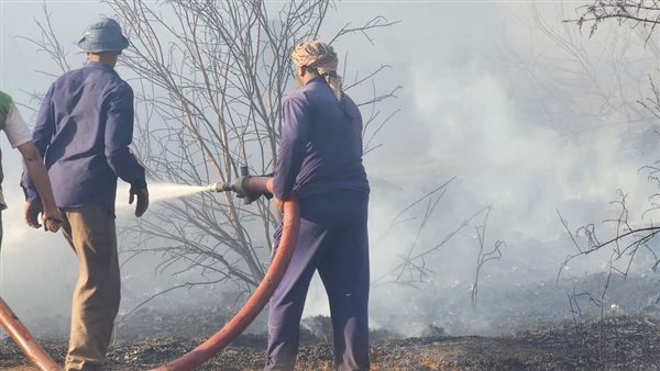 حريق مزارع نخيل عين