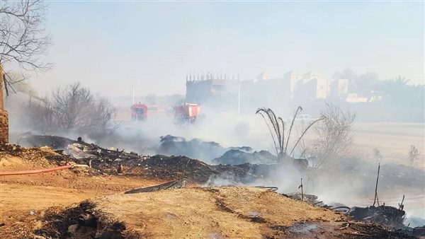 حريق بمزارع نخيل