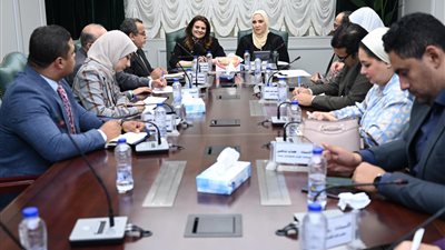 إطلاق صندوق حماية وتأمين المصريين في الخارج خلال أغسطس المقبل