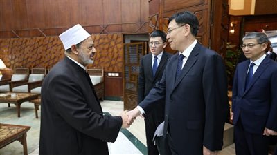شيخ الأزهر: نرفض الاندماج السلبي الذي يحاول طمس الهوية الدينية للمسلمين في مجتمعاتهم
