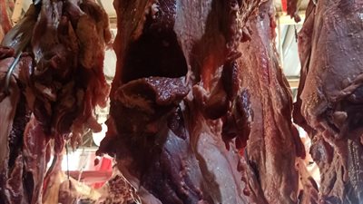 الطب البيطري بالقاهرة يضبط 37 طن لحوم غير صالحة وتحرير 75 محضرًا للمخالفين 