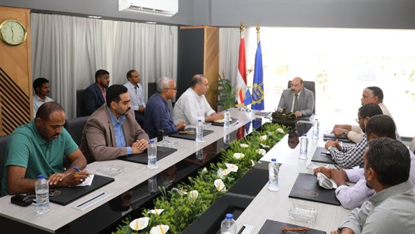 محافظ أسوان