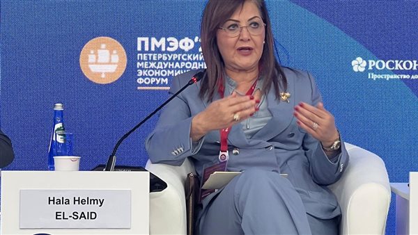 وزيرة التخطيط