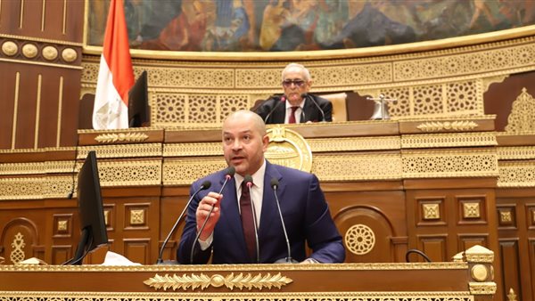 النائب أحمد دياب