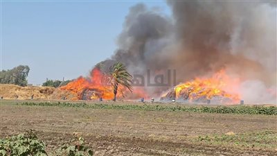 حريق هائل في شونة كتان بطنطا.. والدفع بـ10 سيارات إطفاء| صور 